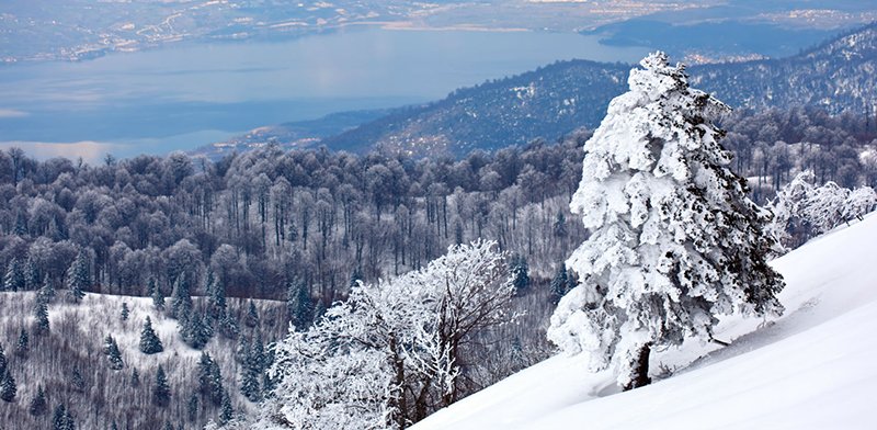 Kartepe Maşukiye Turu